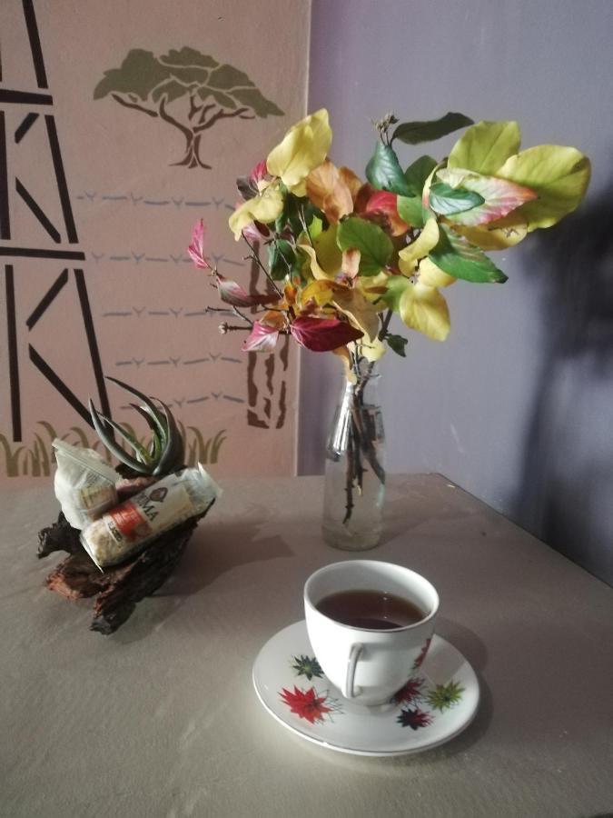 Ashtree Guesthouse ฮานโอเวอร์ ภายนอก รูปภาพ