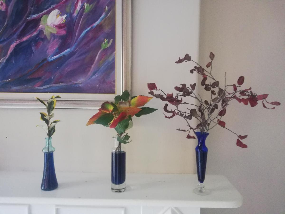 Ashtree Guesthouse ฮานโอเวอร์ ภายนอก รูปภาพ